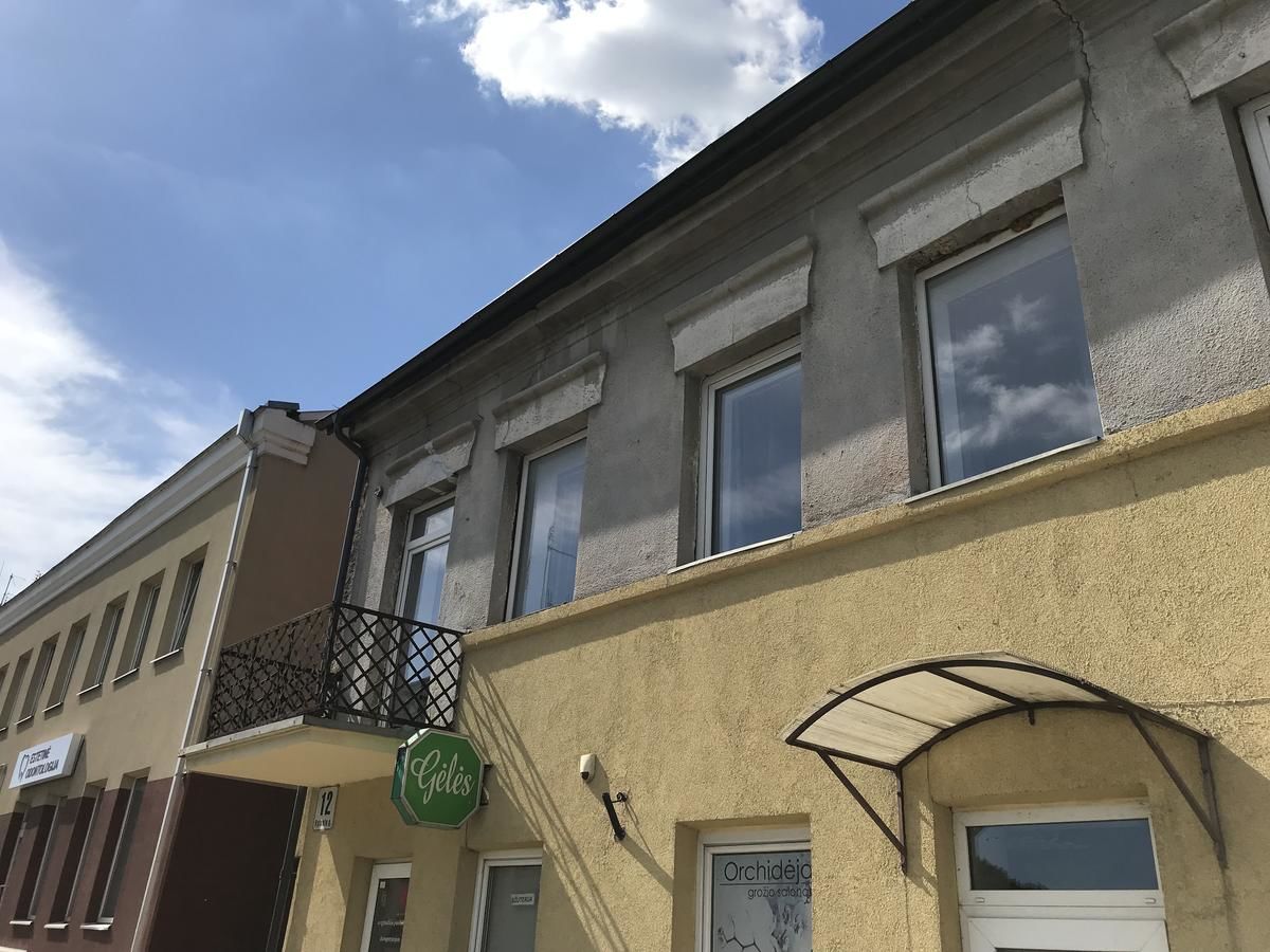 Апартаменты Old town apartments Ukmerge Укмерге-47